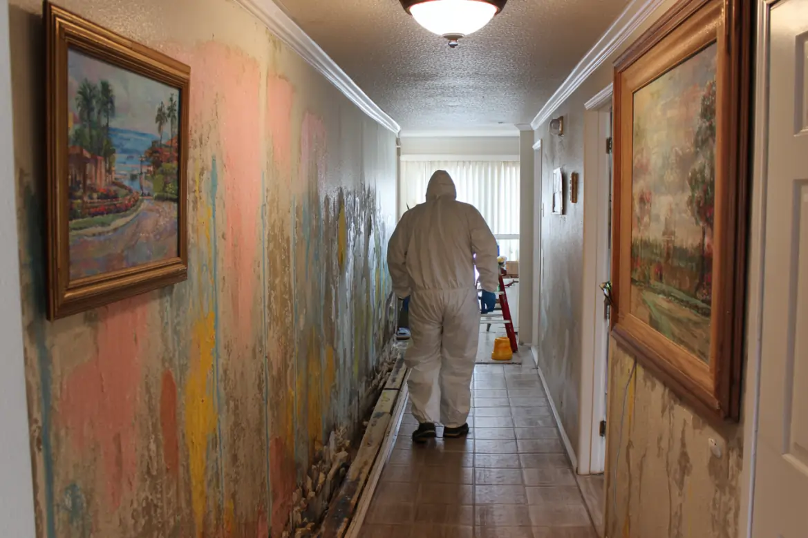 residential mold removal